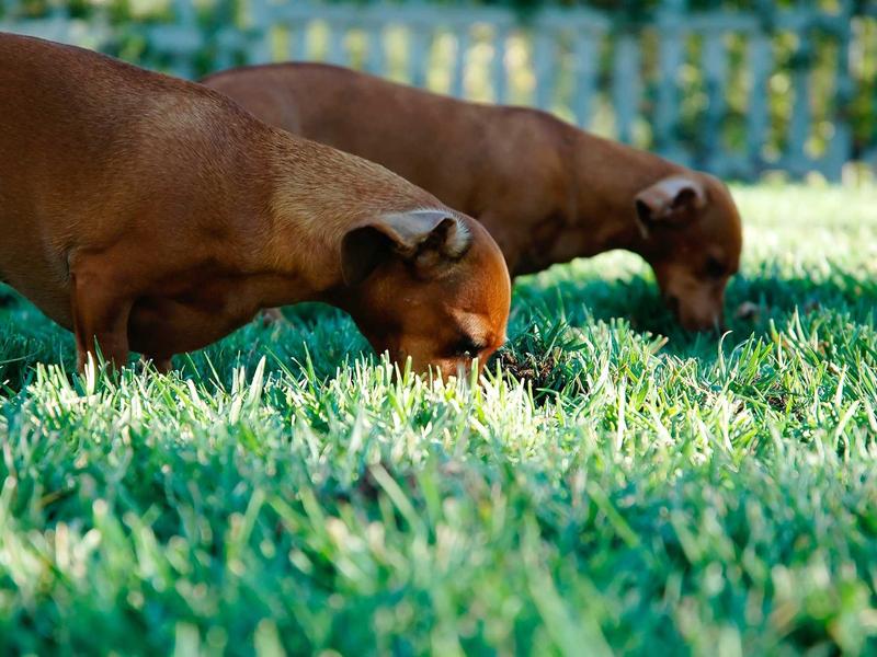 sudoku number puzzle screenshot 4