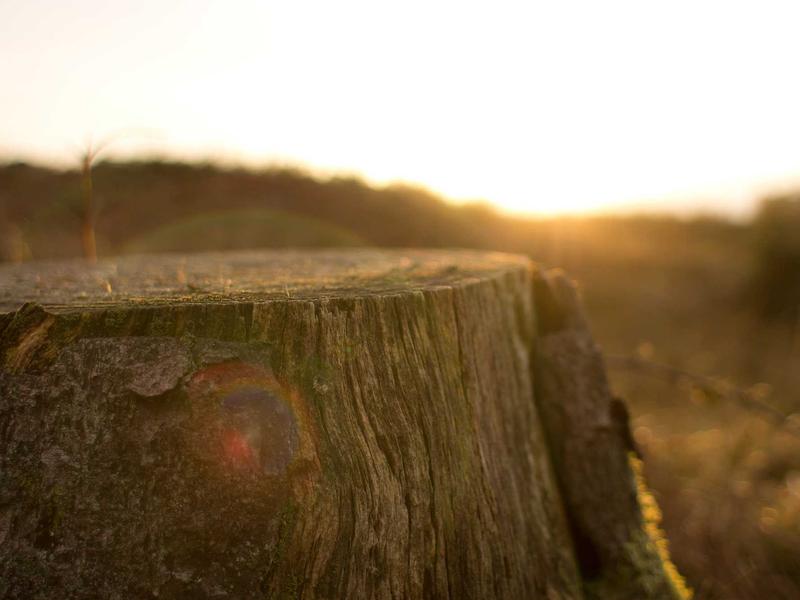 sudoku number puzzle screenshot 2